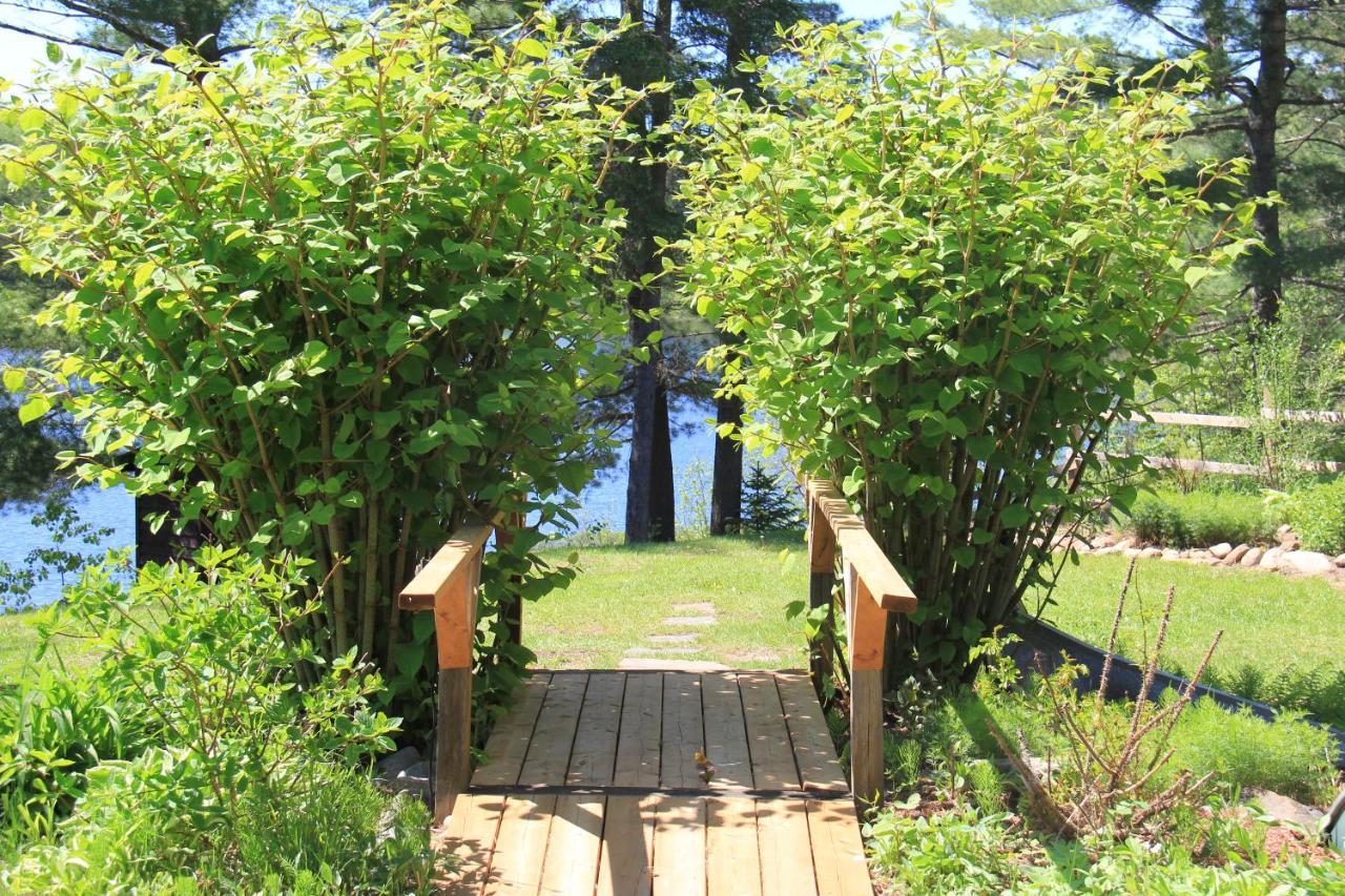 Spring Lake Resort Dwight Екстер'єр фото