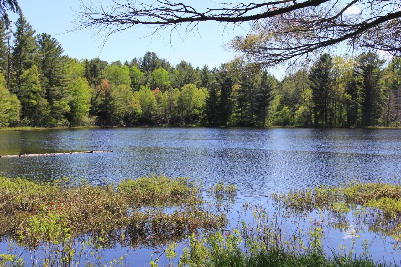 Spring Lake Resort Dwight Екстер'єр фото