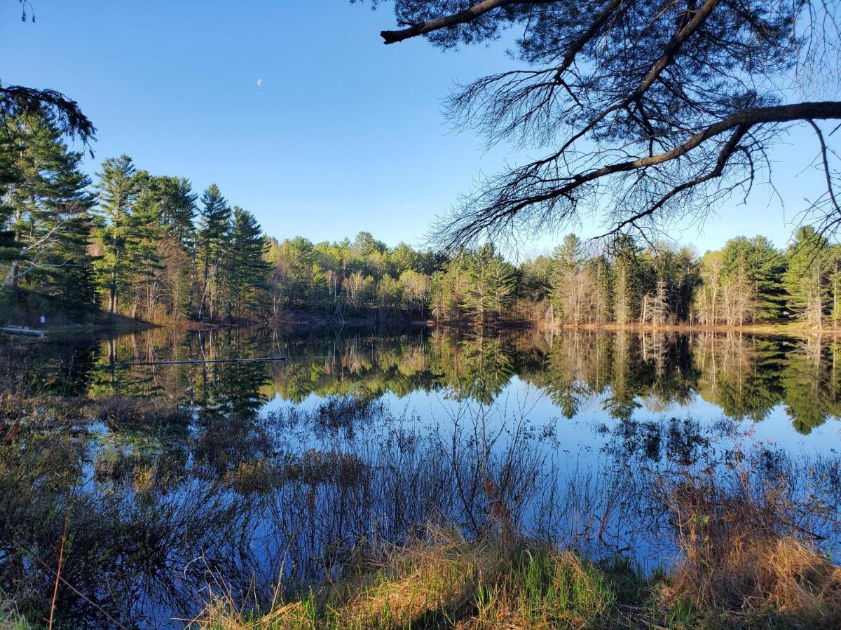 Spring Lake Resort Dwight Екстер'єр фото