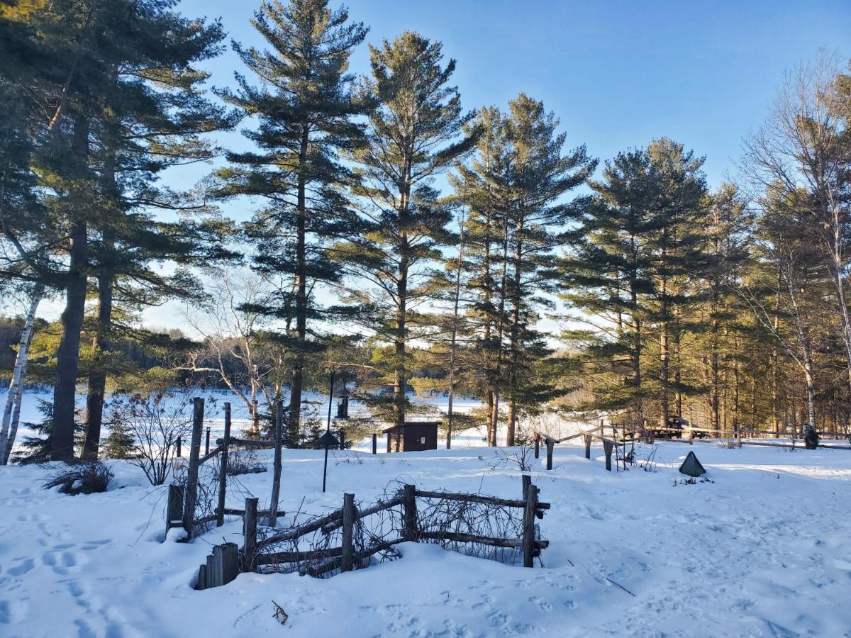 Spring Lake Resort Dwight Екстер'єр фото