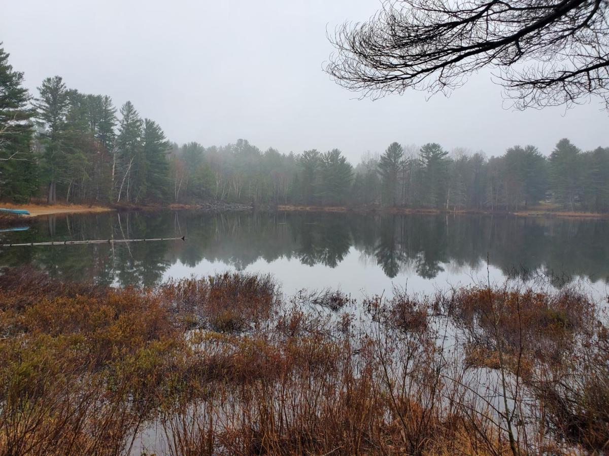 Spring Lake Resort Dwight Екстер'єр фото