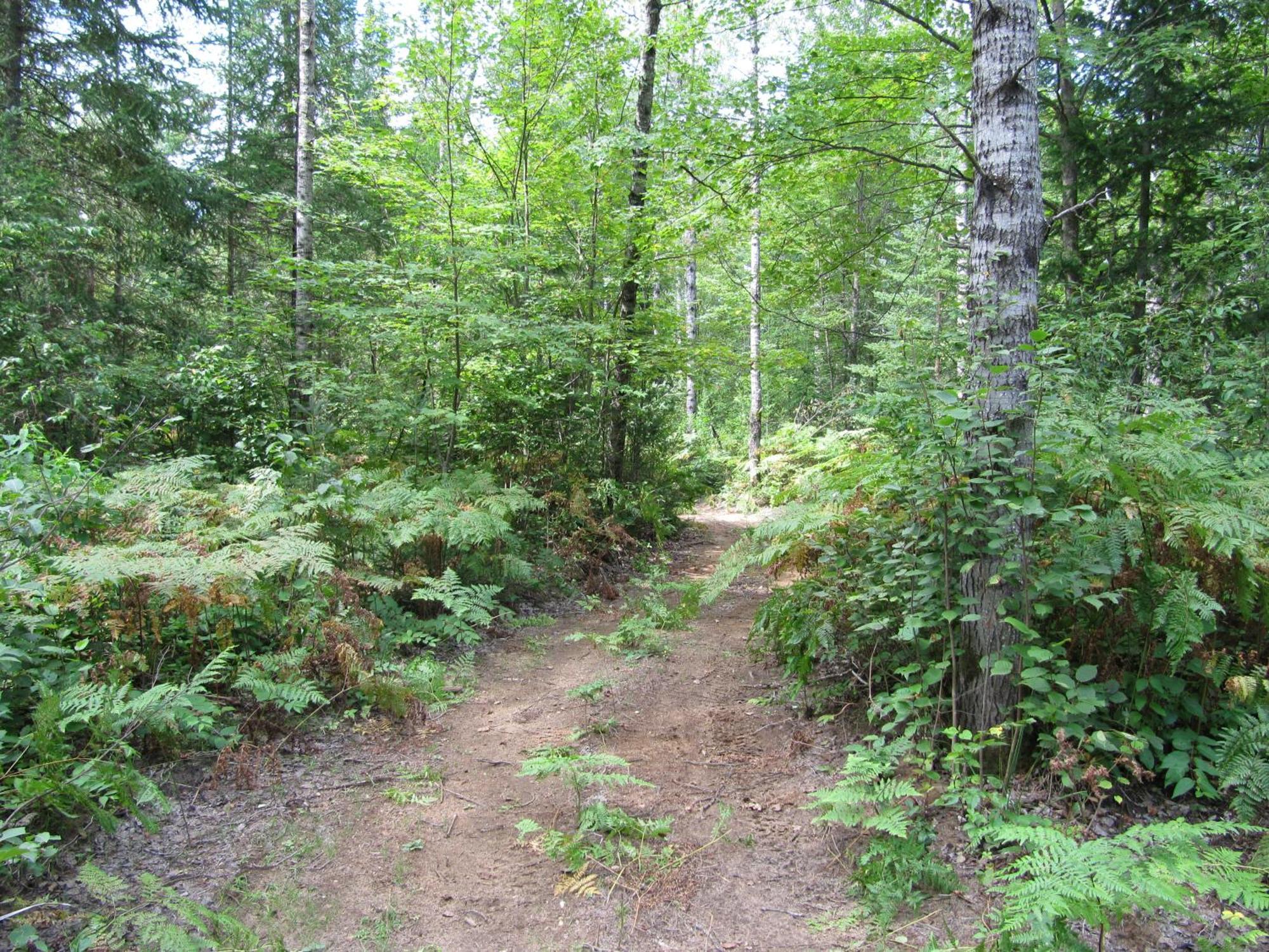 Spring Lake Resort Dwight Екстер'єр фото