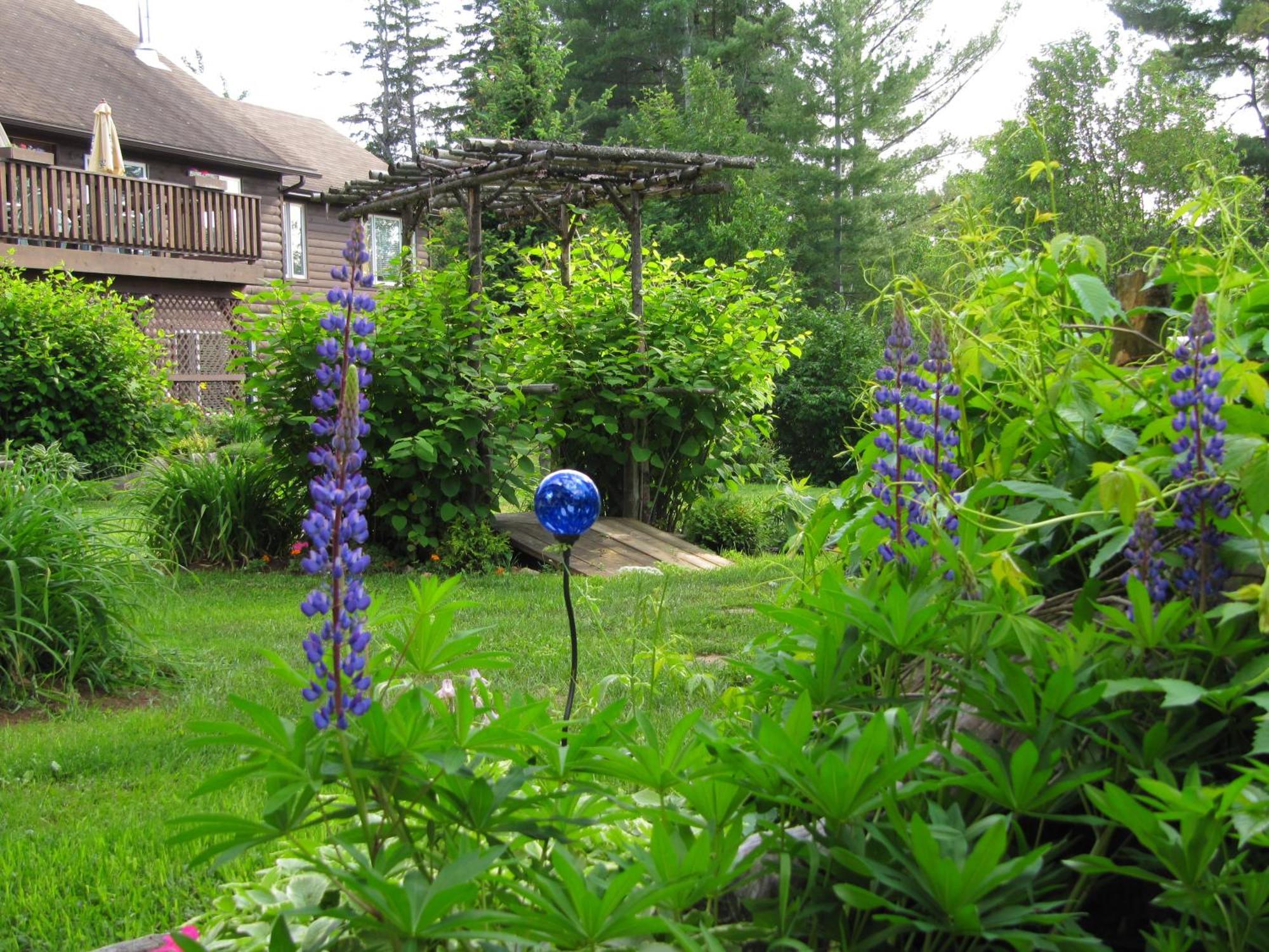 Spring Lake Resort Dwight Екстер'єр фото