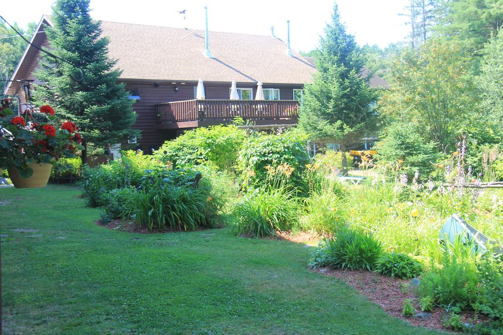 Spring Lake Resort Dwight Екстер'єр фото